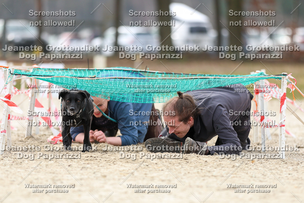 Dog Paparazzi - Strongdog North Mrz26-5753 | Dog Paparazzi Jeanette Grottendiek Fotografie & Videografie - Realisiert mit Pictrs.com