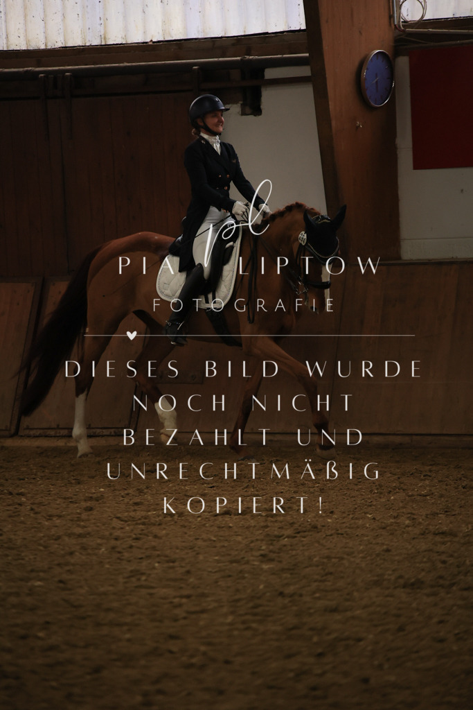 IMGT6047 | pl-fotografie