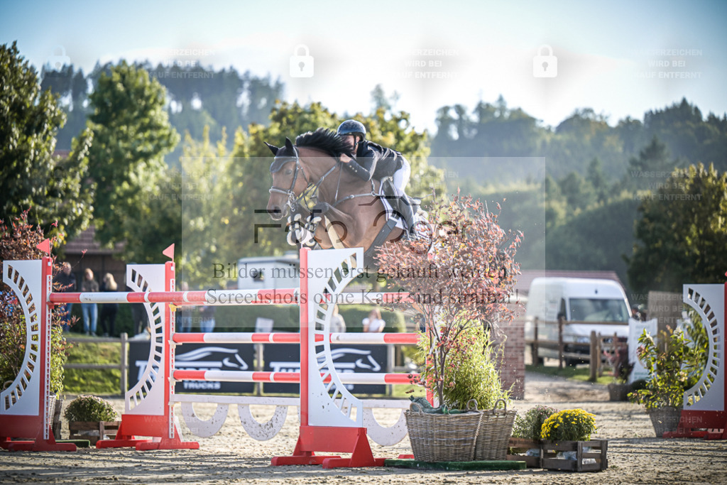 DOS_1632 | Entdecke hochwertige Reitturnierfotos von Foto Oger. Professionell, emotional und authentisch – jetzt Lieblingsmomente im Shop bestellen. - Realisiert mit Pictrs.com