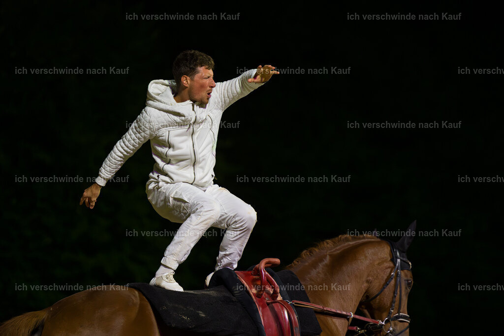Gala-258 | working equitationturnier fotograf videograf stoibphotography marixx film working equitation deutschland reitsport turnierfotografie eventfotografie equestrian events