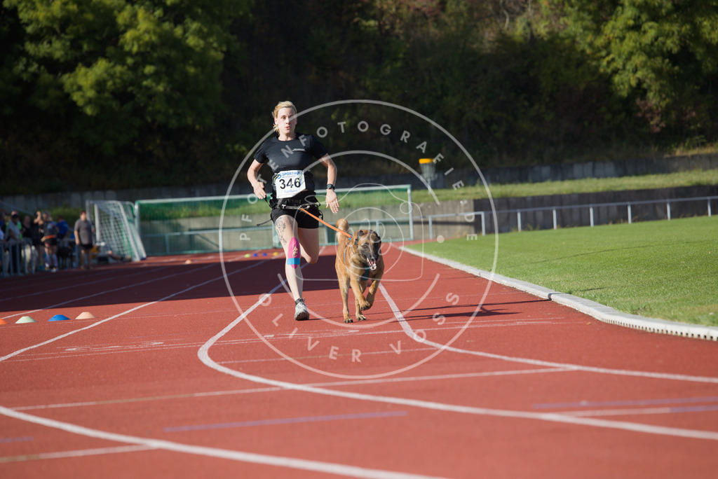 0L8A9297 | Hundefotografie, Tierfotograf, Pfotenfotografie, Fotoshooting Hund, Hunde Portrait, Hundesport, Hundeportraits, Heideshooting, Hunde, Sportfotograf, Hundefotograf, Turnierhundsport, THS,  - Realisiert mit Pictrs.com