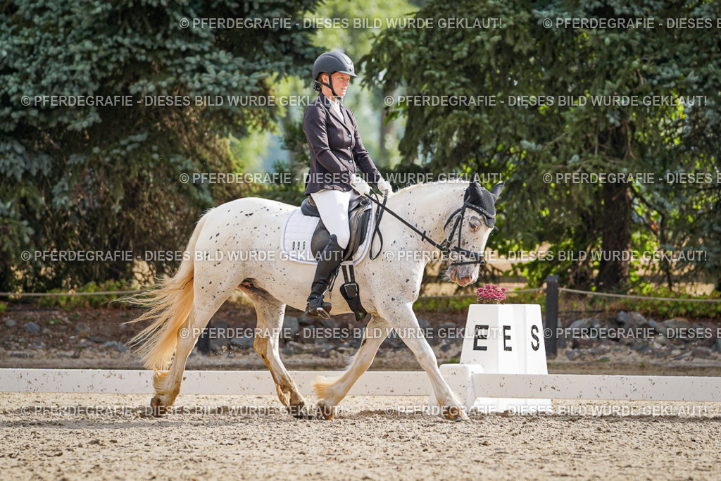 DSC00996 | Pferdegrafie