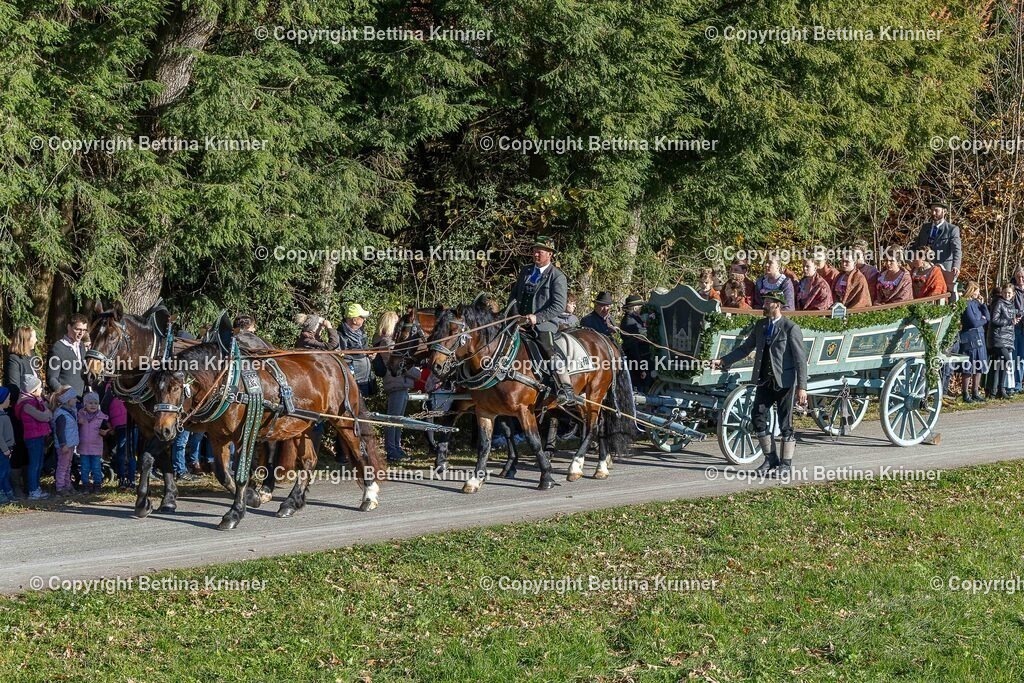 LBT25-316 | foto-bettina-krinner - Realisiert mit Pictrs.com