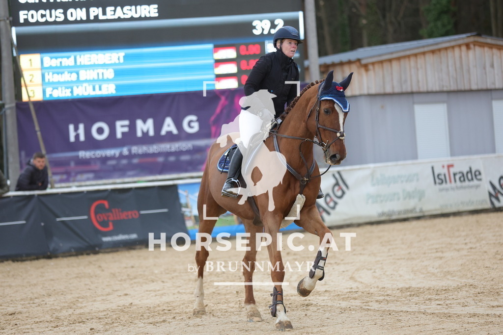 0P6A5382 | Willkommen bei Brunnmayr - Design & Fotografie – Ihrem Spezialisten für Reitturniere und Pferdeveranstaltungen in Oberösterreich, Salzburg und Bayern! Seit über 17 Jahren sind wir leidenschaftlich dabei.