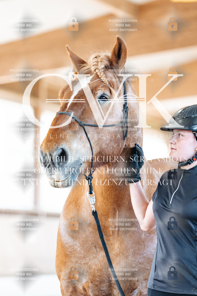 CK906366 | Turnierfotografie Pferdefotografie Trier Rheinland-Pfalz Pferdesport Reitsport Tierfotografie Sportfotografie Pferdevideo Pferdevideografie Equestrianvideography equestrianphotography  - Realisiert mit Pictrs.com