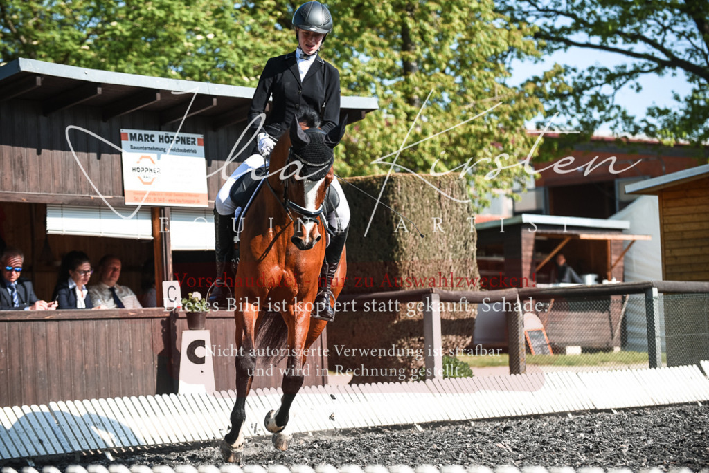 DSC_8667 | Pferde- und Turnierfotografie in Westsachsen. Pferdeportraits, Auftragszeichnungen und intuitive Kunst.