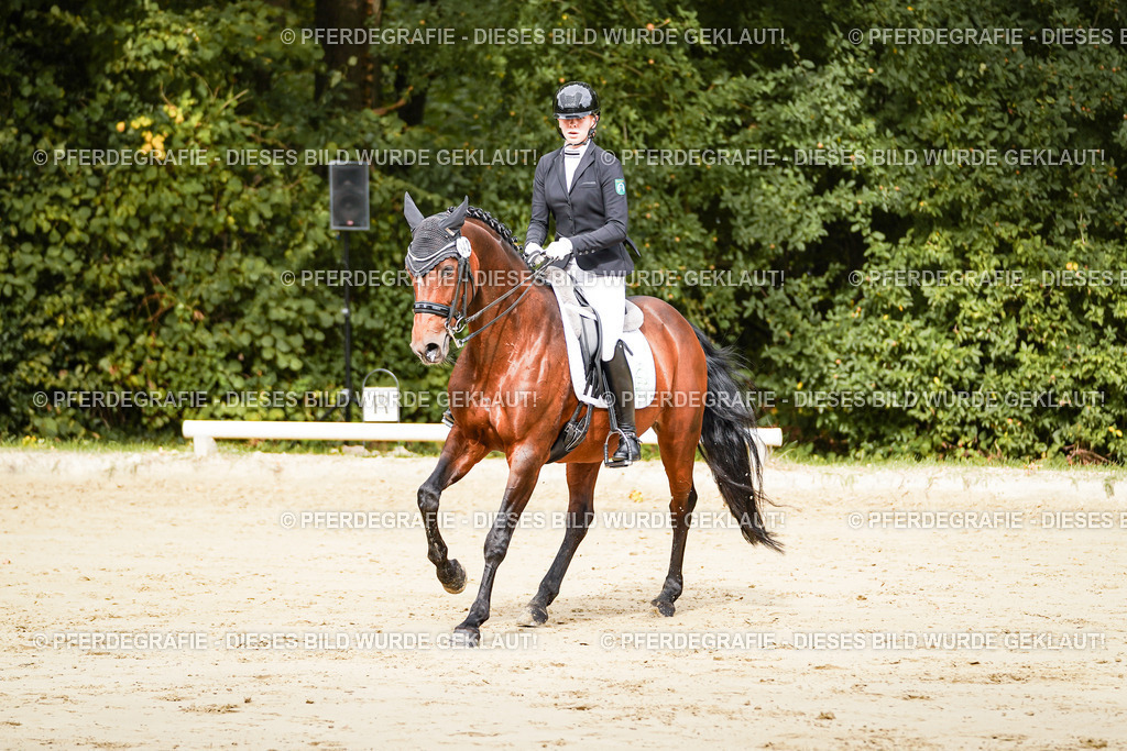 DSC02044 | Pferdegrafie