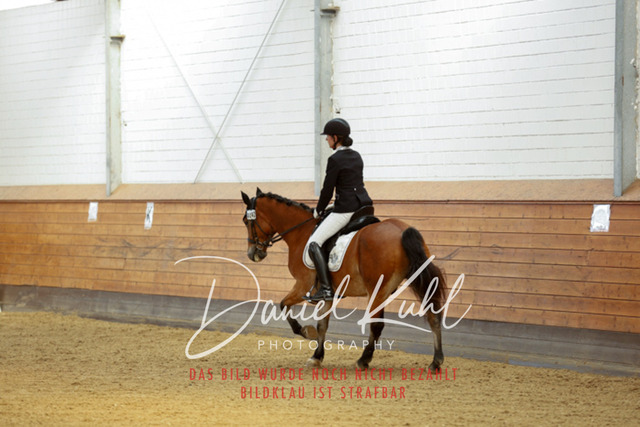 _62_7532 | Turniersportfotografie; Pferdefotografie; Dressurfotografie