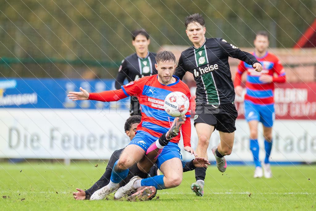 20251005_Picselweb-Fotografie_1R3_2351 | Dein Fotograf aus dem Landkreis Stade für Sport und Events - Realisiert mit Pictrs.com
