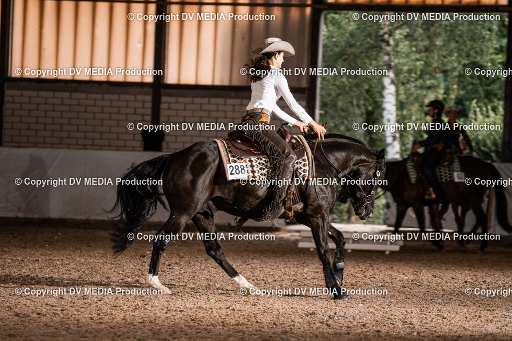 ZH300237 | dv-media-shop - Realisiert mit Pictrs.com