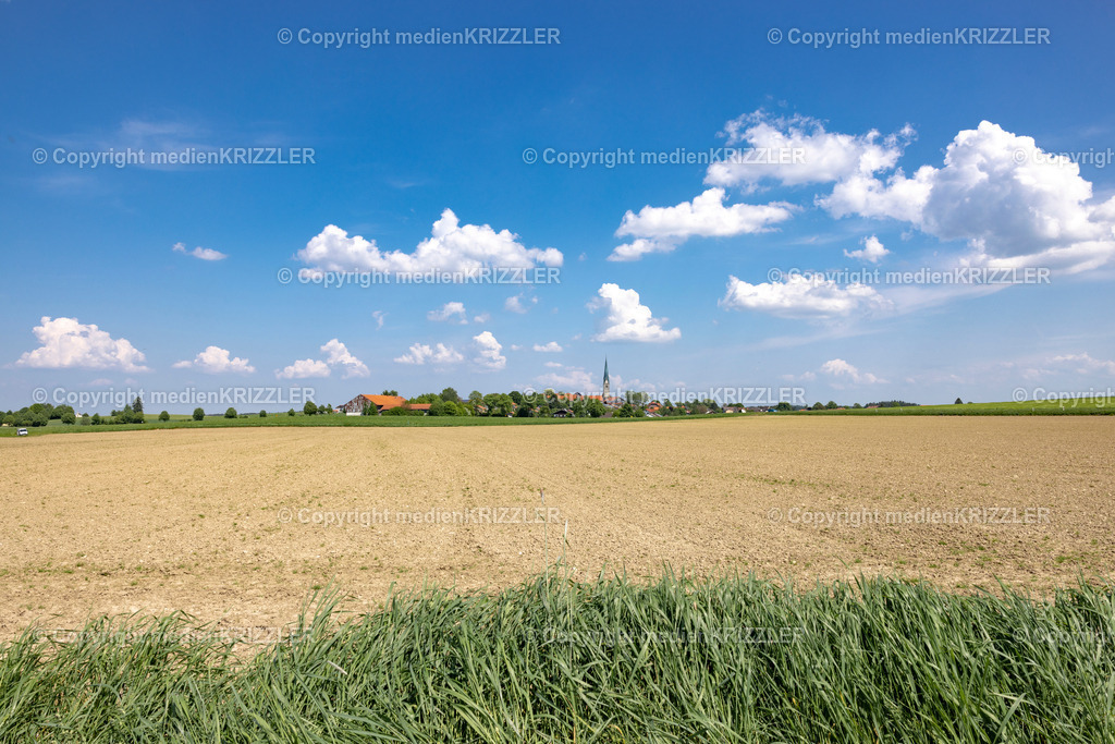 Kienberg | medienkrizzler - Realisiert mit Pictrs.com