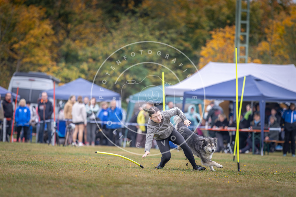Pfotenfotografie_DV3A0909 | Hundefotografie, Tierfotograf, Pfotenfotografie, Fotoshooting Hund, Hunde Portrait, Hundesport, Hundeportraits, Heideshooting, Hunde, Sportfotograf, Hundefotograf, Turnierhundsport, THS,  - Realisiert mit Pictrs.com