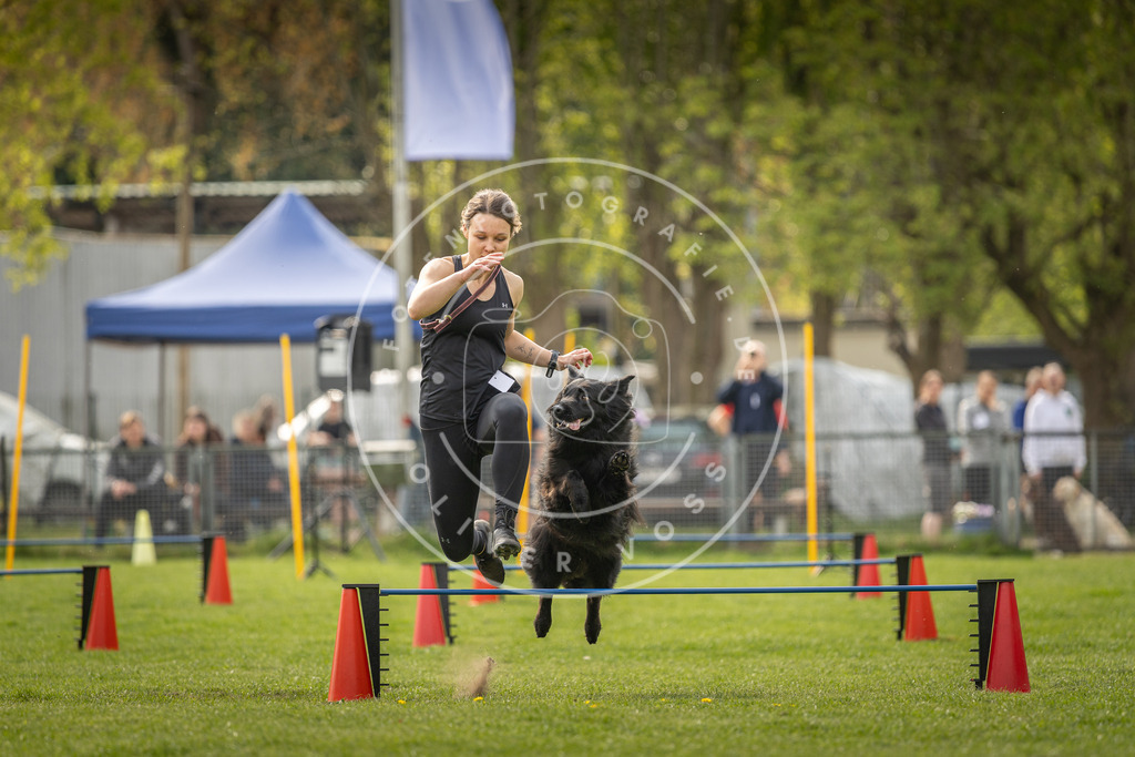 Pfotenfotografie_DV3A5753 | Hundefotografie, Tierfotograf, Pfotenfotografie, Fotoshooting Hund, Hunde Portrait, Hundesport, Hundeportraits, Heideshooting, Hunde, Sportfotograf, Hundefotograf, Turnierhundsport, THS,  - Realisiert mit Pictrs.com