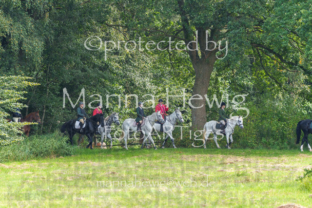 Jagd Perdoel_MarinaHewigMCH04623 | Fotografie, FotoArt, PferdesportArt, Pferdesportfotografie, Landschaftsfotografie, Reisefotografie, Reise, Pferde - Realisiert mit Pictrs.com