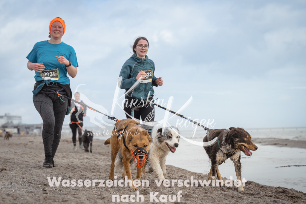 1213_ZZ95110 | kk-dogfotos