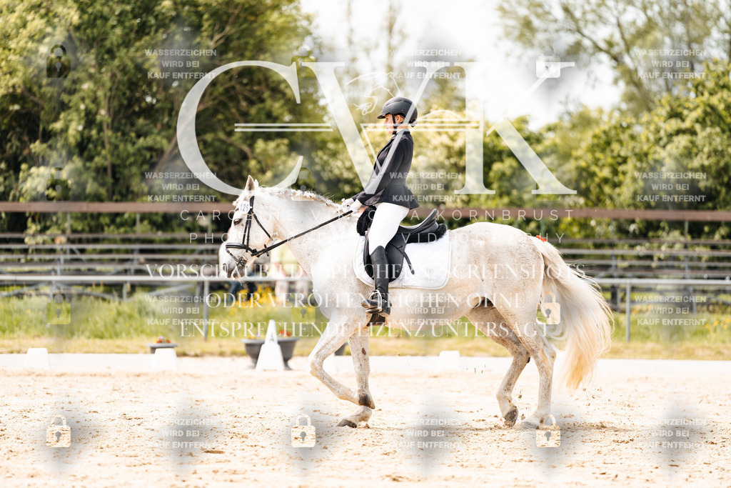 CK902472 | Turnierfotografie Pferdefotografie Trier Rheinland-Pfalz Pferdesport Reitsport Tierfotografie Sportfotografie Pferdevideo Pferdevideografie Equestrianvideography equestrianphotography  - Realisiert mit Pictrs.com