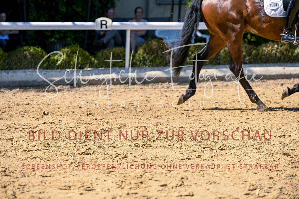 Schugtsche-Aluta25-50.Dressurpferdeprf.L-54 | Schugtsche Fotografie - Realisiert mit Pictrs.com