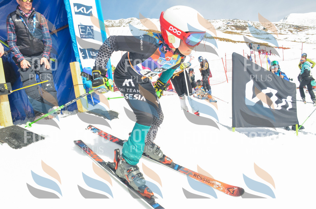 _ELE6821 | holidayphoto