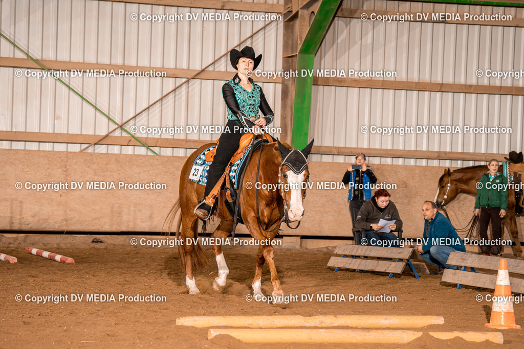 BA400116 | dv-media-shop - Realisiert mit Pictrs.com