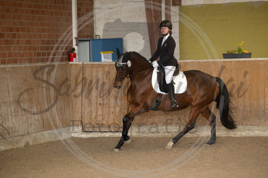 994A8936 | sabrinanicolaifotografie - Realisiert mit Pictrs.com