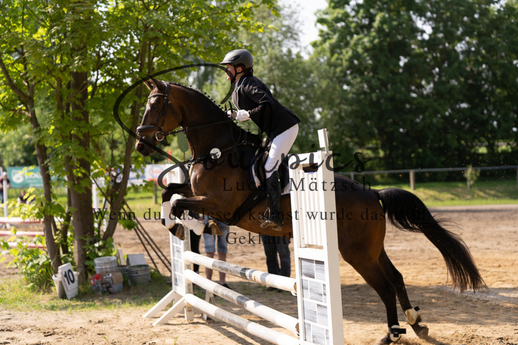 A7507396 | Turnier/Reitfotograf