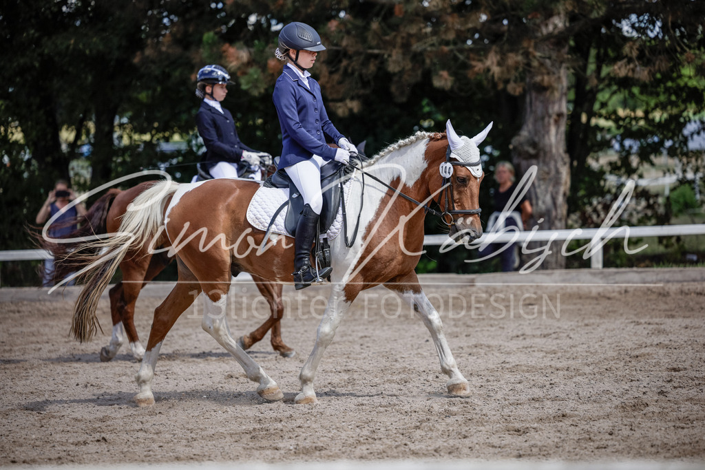 20250906-_3LI5453 | Tierfotografie Pferde, Hunde, Katzen, Haustiere.
Turnierfotografie Reitturniere, Reiten, Springreiten, Dressur in Hanau, dem Main-Kinzig-Kreis und dem Rhein-Main- Gebiet um Frankfurt