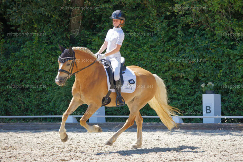 JHE_6317 | JoYa Fotografie - Realisiert mit Pictrs.com