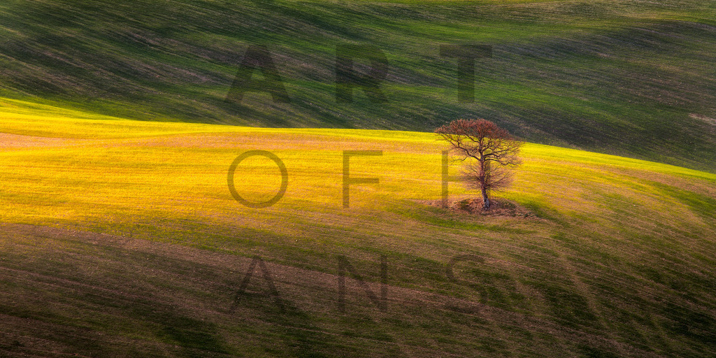 Ein Hans Fineart Original | Entdecke die Kunst von Hans Fineart - Fotografien für dein Zuhause. Verwandle deine Wände mit einzigartigen Kunstwerken und bringe die Schönheit der Welt in dein Leben. Bestelle jetzt und schaffe einen Ort der Inspiration und Eleganz.