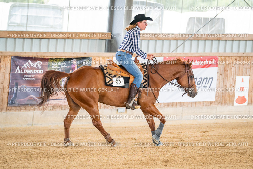 DSC04292 | Pferdegrafie