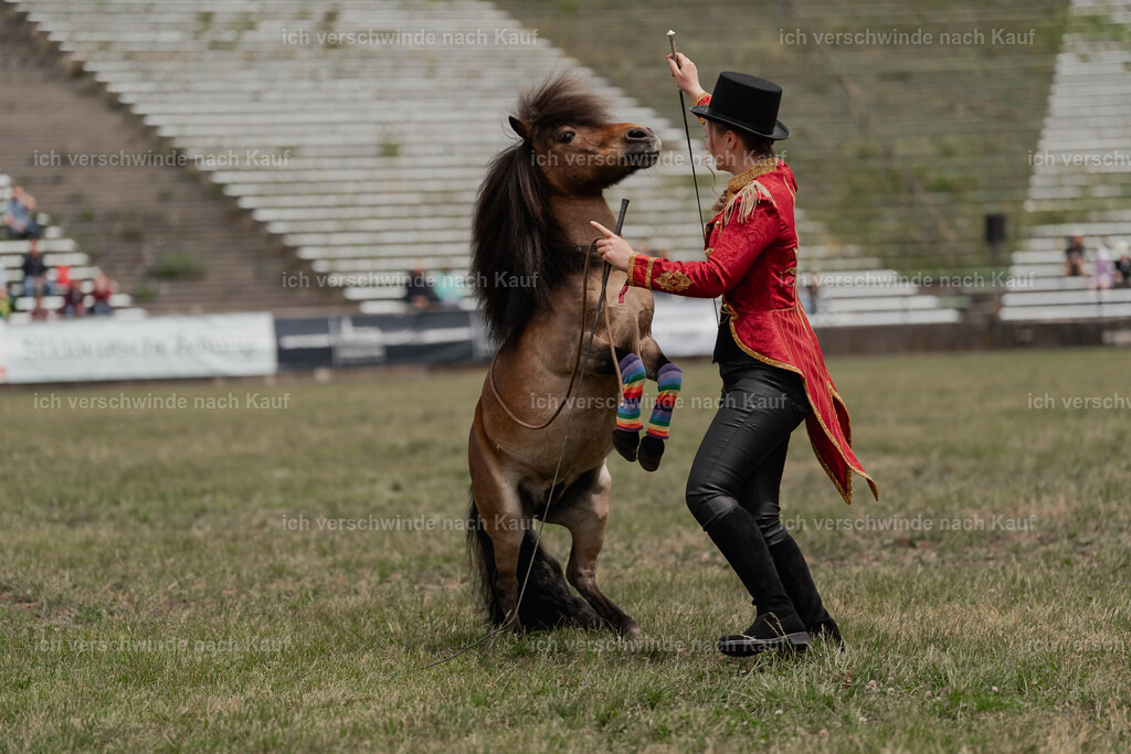 Showprogramm-225 | working equitationturnier fotograf videograf stoibphotography marixx film working equitation deutschland reitsport turnierfotografie eventfotografie equestrian events