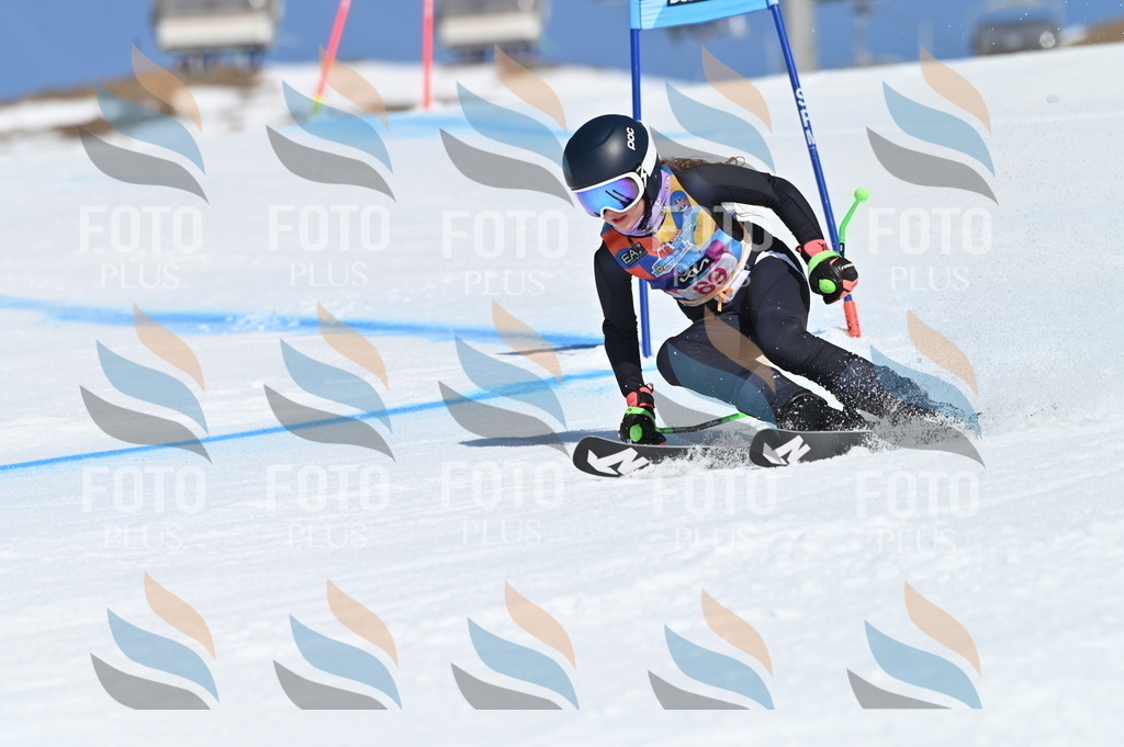 BGV_9238 | holidayphoto