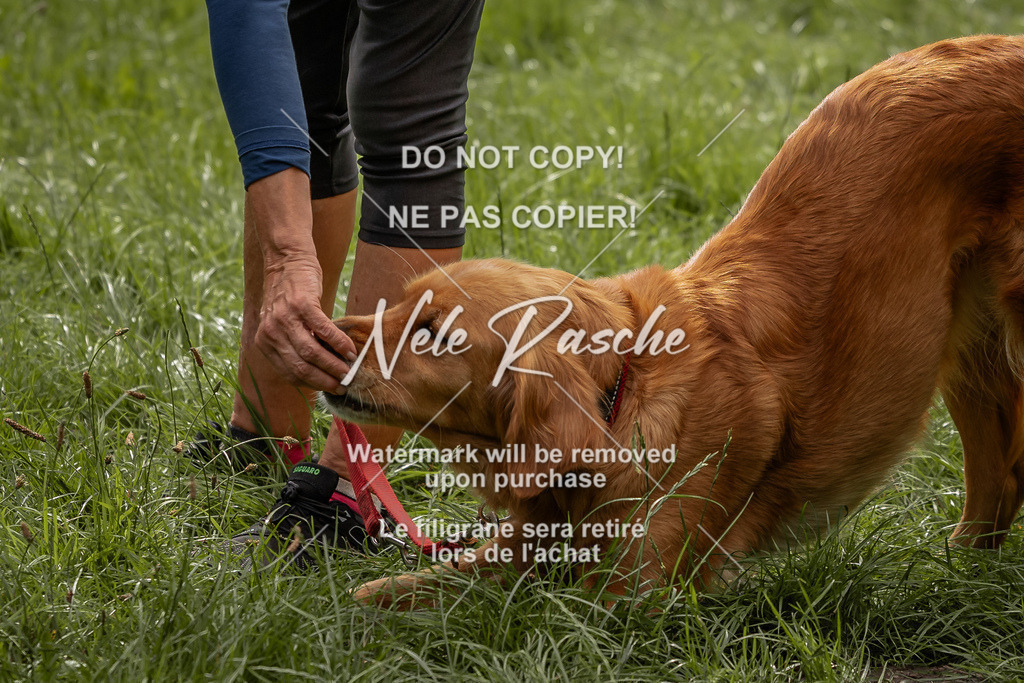 nelerasche_DoN_67 | nelerasche
