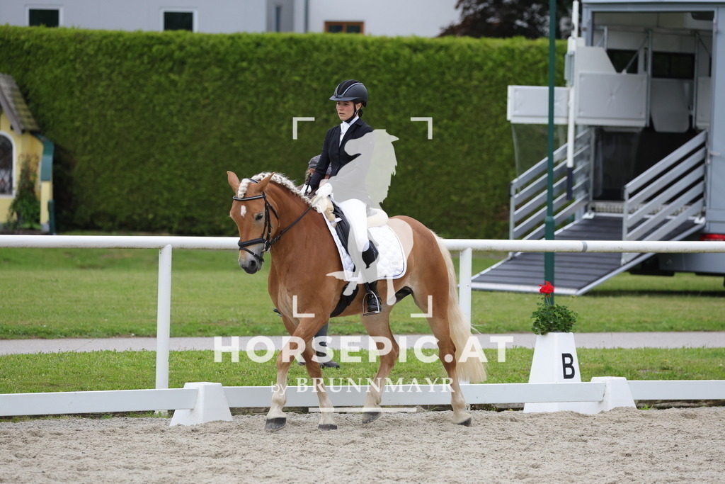 0P6A7079 | Willkommen bei Brunnmayr - Design & Fotografie – Ihrem Spezialisten für Reitturniere und Pferdeveranstaltungen in Oberösterreich, Salzburg und Bayern! Seit über 17 Jahren sind wir leidenschaftlich dabei.