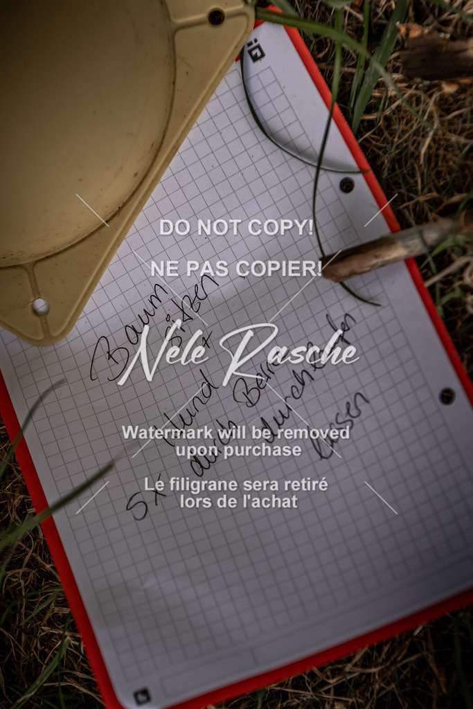 nelerasche_freitag2_042 | nelerasche