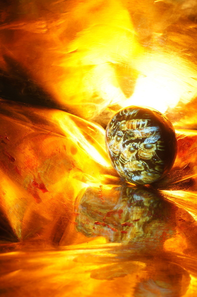 Bienen | cornelia-geissler - Realisiert mit Pictrs.com