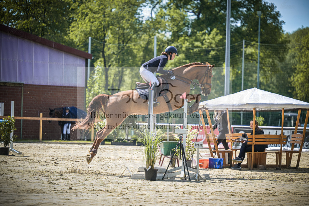 DOS_9545 | Entdecke hochwertige Reitturnierfotos von Foto Oger. Professionell, emotional und authentisch – jetzt Lieblingsmomente im Shop bestellen.Deutschlandweite Turnierfotografie. - Realisiert mit Pictrs.com