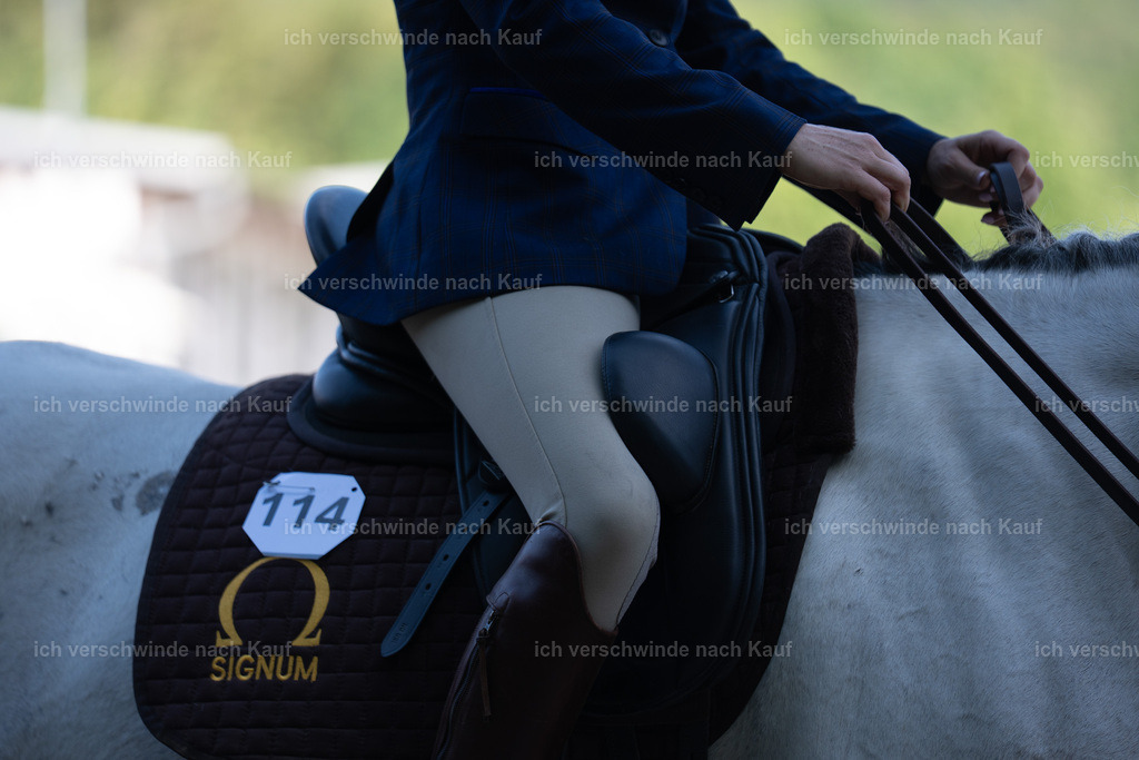 WL_DR_114_sinafilmart_IN06683 | working equitationturnier fotograf videograf stoibphotography marixx film working equitation deutschland reitsport turnierfotografie eventfotografie equestrian events