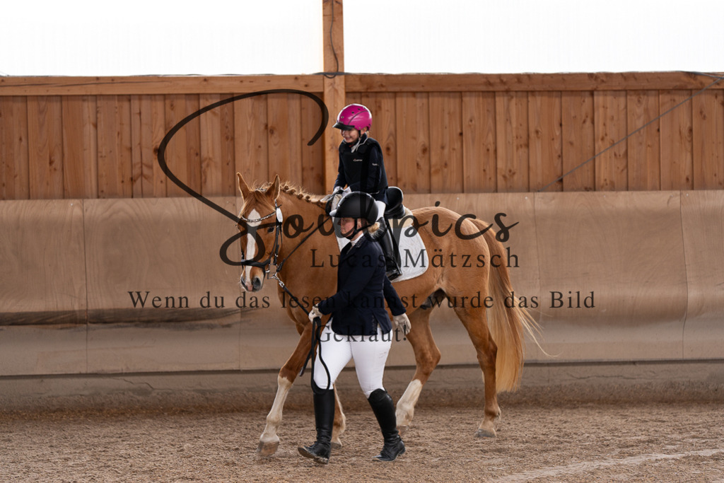 A7507288 | Pferdefotograf