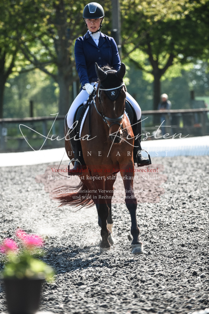 DSC_8772 | Pferde- und Turnierfotografie in Westsachsen. Pferdeportraits, Auftragszeichnungen und intuitive Kunst.