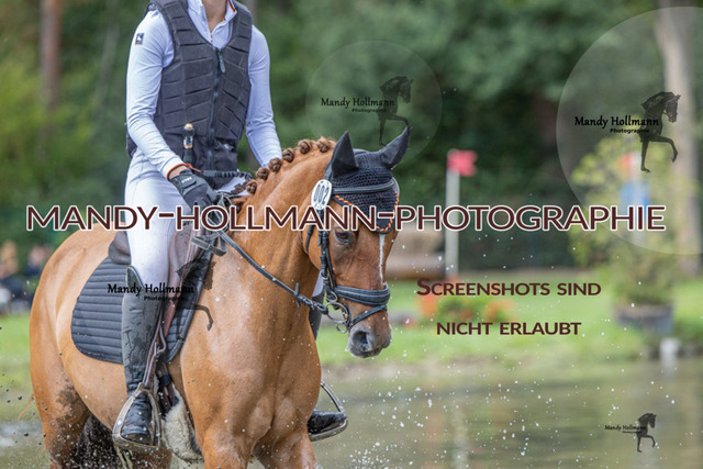 VS G (303 von 503) | mandyhollmannphotographie