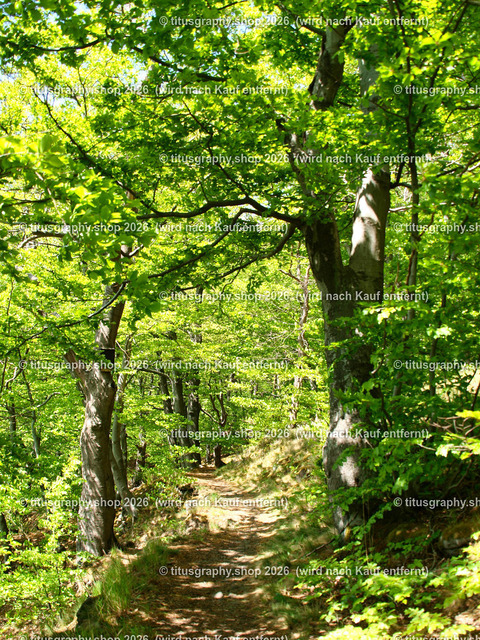 titusgraphy_P4276811-vz-ln | titusgraphy-shop: Geschenkideen mit Qualitätsfotos. titusgraphy-shop: gift ideas with quality photos. titusgraphy-shop: idées cadeaux avec photos de qualité.  - Realisiert mit Pictrs.com