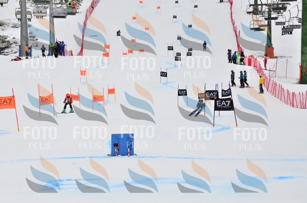 _ELE3813 | holidayphoto