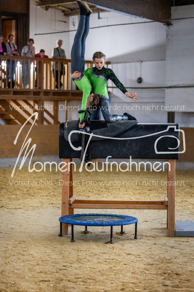 Holzpferd-013 | MomenTaufnahmen Pferdesportfotos