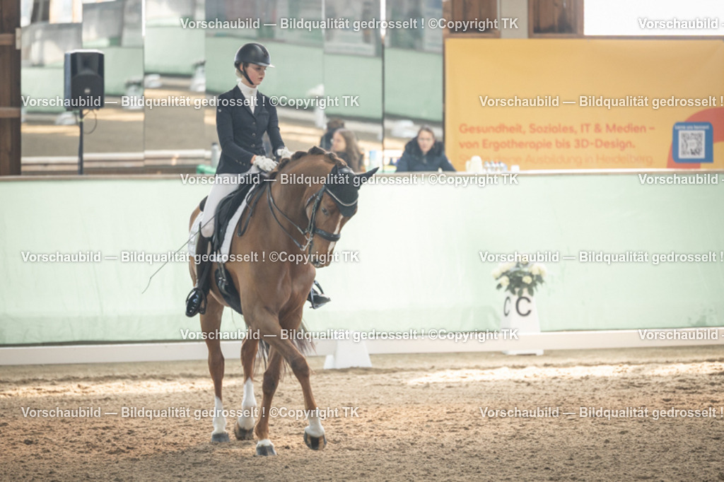 _D5A4441 | Emotionale Pferde- & People-Fotografie rund um Heidelberg, Leimen & Umgebung. Natürliche Fotos von Pferd, Mensch & Familie. Jetzt Termin sichern!