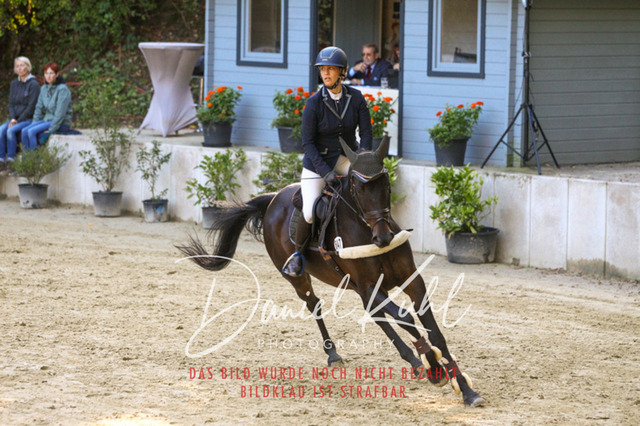 DKP42772 | Turniersportfotografie; Pferdefotografie; Dressurfotografie