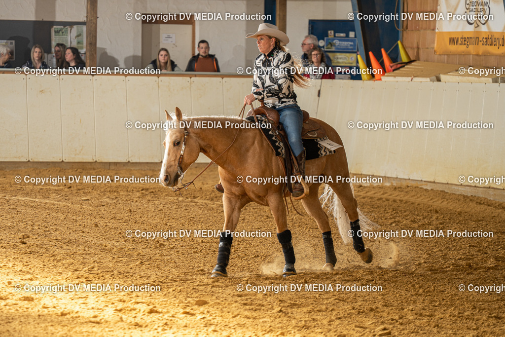 MIT01069 | dv-media-shop - Realisiert mit Pictrs.com