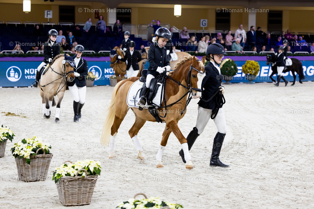 TH_Nürnberger Burgpokal Führzügelwettbewerb_13239 | Nürnberger Burgpokal Führzügelwettbewerb beim Festhallen Reitturnier Frankfurt 2023 am 15.12.23 in Frankfurt, Festhalle