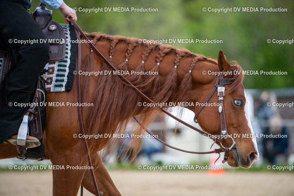 Heiligenwald Tag 2-1965 | dv-media-shop - Realisiert mit Pictrs.com