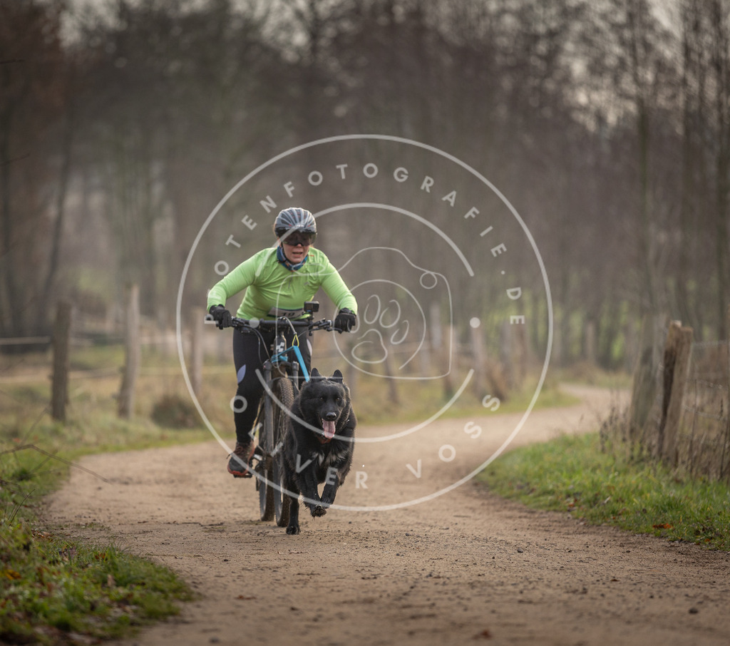 Pfotenfotografie_DV3A1934 | Hundefotografie, Tierfotograf, Pfotenfotografie, Fotoshooting Hund, Hunde Portrait, Hundesport, Hundeportraits, Heideshooting, Hunde, Sportfotograf, Hundefotograf, Turnierhundsport, THS,  - Realisiert mit Pictrs.com