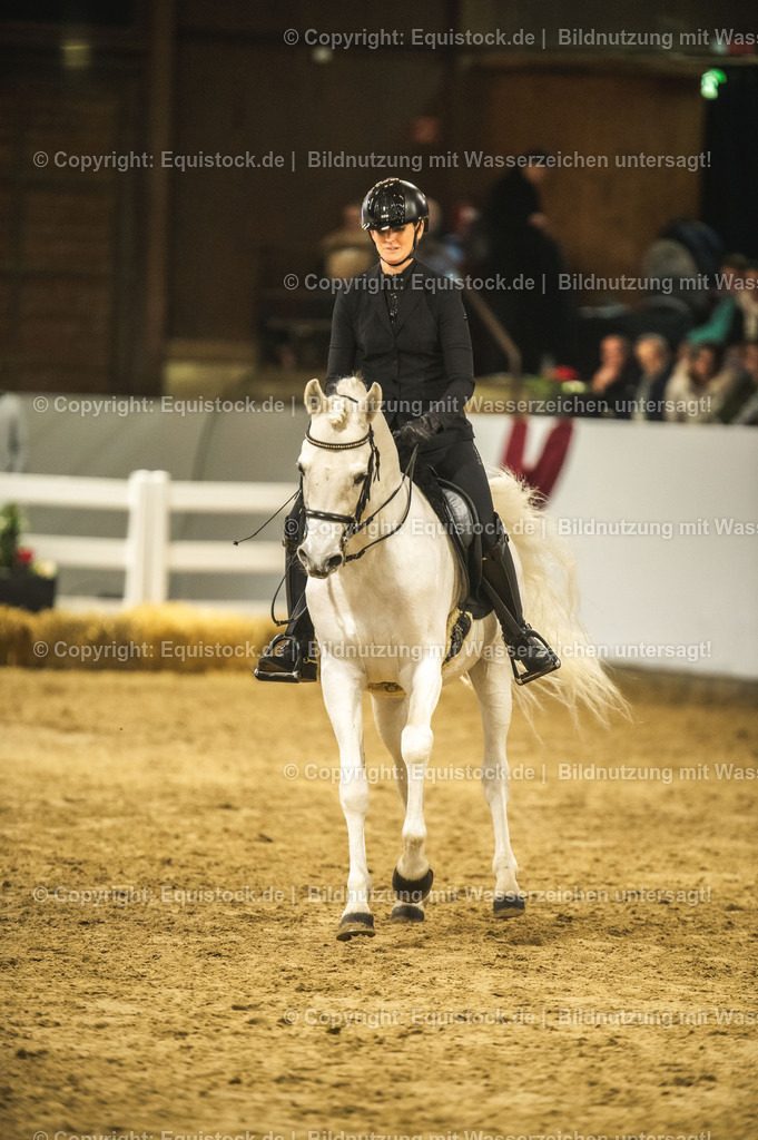 20240302_Hengstvorstellung_Marbach_TOMsPiC_1102 | equistock